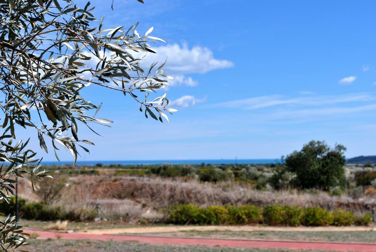Chalet Adosado De Lujo Para 6 Personas En Golf Panoramica - Internet Fibra Gratis San Jorge  Dış mekan fotoğraf