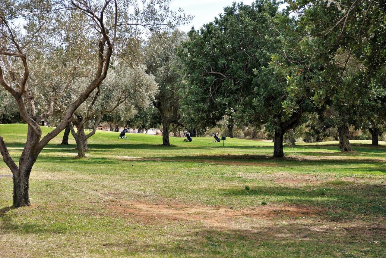Chalet Adosado De Lujo Para 6 Personas En Golf Panoramica - Internet Fibra Gratis San Jorge  Dış mekan fotoğraf
